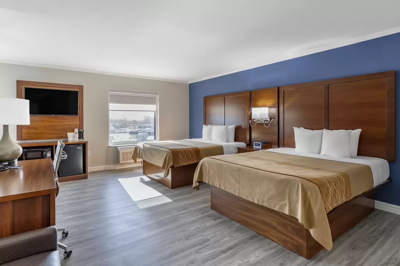 Suite with Queen bed