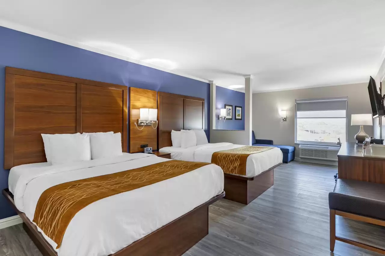 Suite with Queen bed